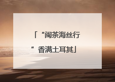 “闽茶海丝行”香满土耳其