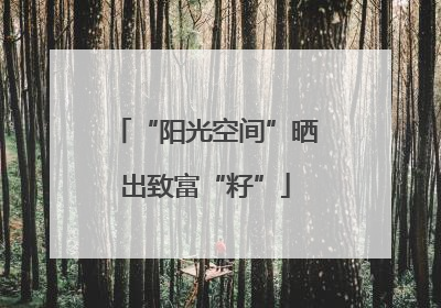 “阳光空间”晒出致富“籽”