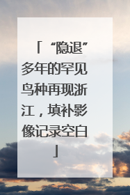 “隐退”多年的罕见鸟种再现浙江，填补影像记录空白