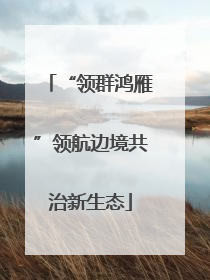 “领群鸿雁”领航边境共治新生态