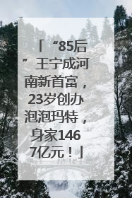 “85后”王宁成河南新首富，23岁创办泡泡玛特，身家1467亿元！