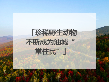 珍稀野生动物不断成为油城“常住民”