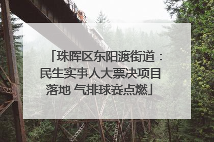 珠晖区东阳渡街道：民生实事人大票决项目落地 气排球赛点燃