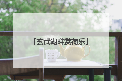 玄武湖畔赏荷乐