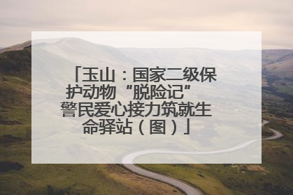 玉山：国家二级保护动物“脱险记” 警民爱心接力筑就生命驿站（图）