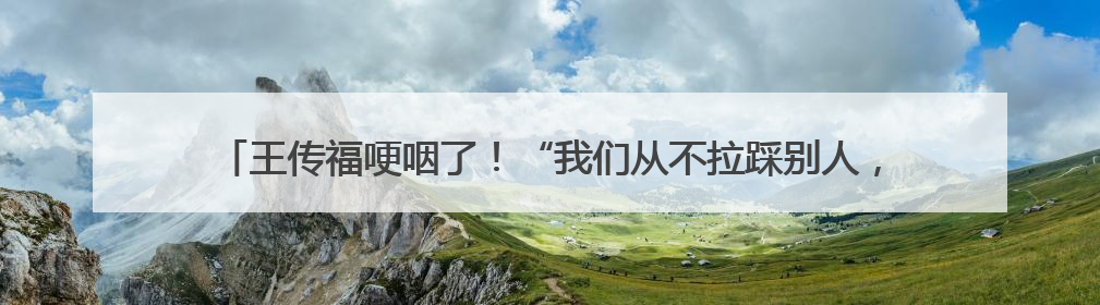 王传福哽咽了！“我们从不拉踩别人，这是原则”！比亚迪：我们不打价格战