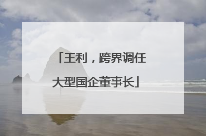 王利，跨界调任大型国企董事长