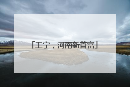 王宁，河南新首富