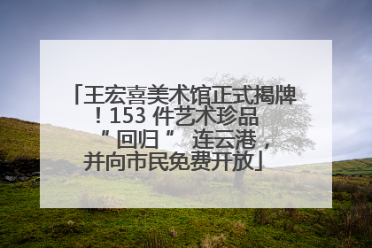 王宏喜美术馆正式揭牌！153 件艺术珍品 “ 回归 ” 连云港，并向市民免费开放