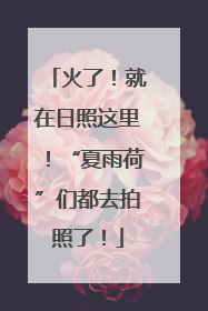火了！就在日照这里！“夏雨荷”们都去拍照了！