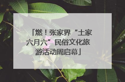 燃！张家界“土家六月六”民俗文化旅游活动周启幕