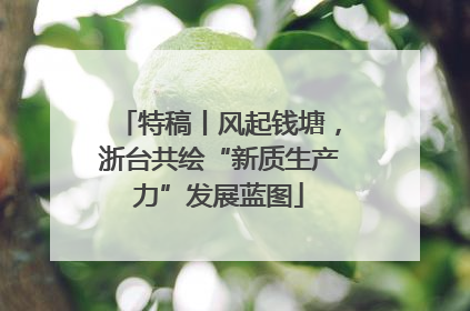 特稿丨风起钱塘，浙台共绘“新质生产力”发展蓝图