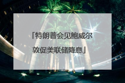 特朗普会见鲍威尔 敦促美联储降息