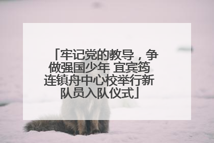 牢记党的教导，争做强国少年 宜宾筠连镇舟中心校举行新队员入队仪式