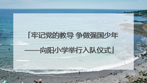 牢记党的教导 争做强国少年——向阳小学举行入队仪式