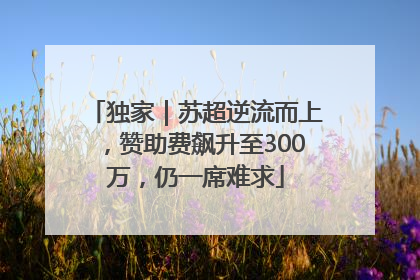 独家｜苏超逆流而上，赞助费飙升至300万，仍一席难求