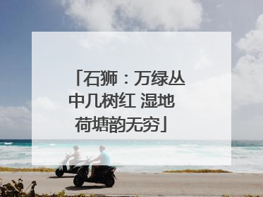 石狮：万绿丛中几树红 湿地荷塘韵无穷