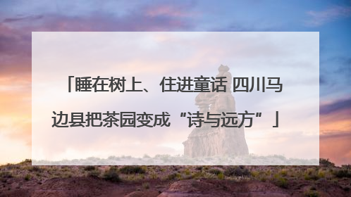 睡在树上、住进童话 四川马边县把茶园变成“诗与远方”