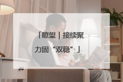 瞭望｜接续聚力固“双稳”