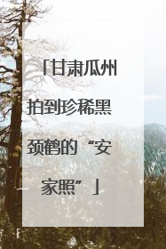 甘肃瓜州拍到珍稀黑颈鹤的“安家照”
