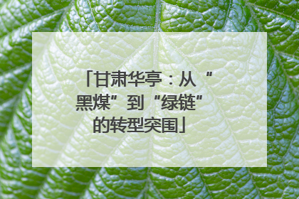 甘肃华亭：从“黑煤”到“绿链”的转型突围