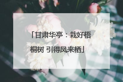 甘肃华亭：栽好梧桐树 引得凤来栖