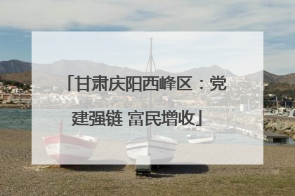 甘肃庆阳西峰区：党建强链 富民增收