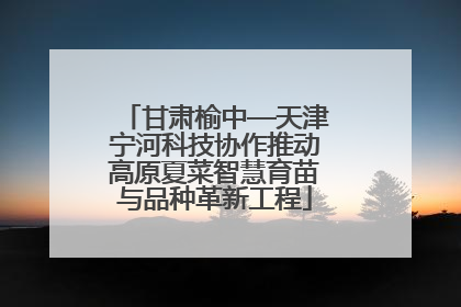 甘肃榆中—天津宁河科技协作推动高原夏菜智慧育苗与品种革新工程