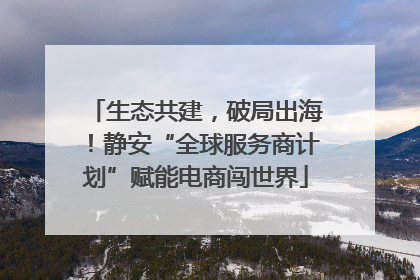 生态共建，破局出海！静安“全球服务商计划”赋能电商闯世界