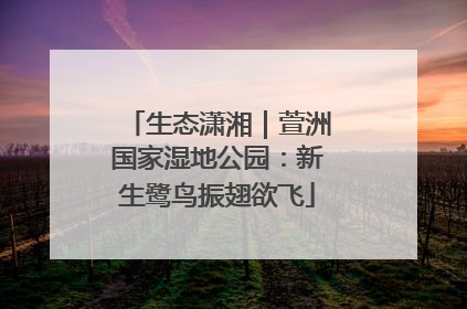 生态潇湘｜萱洲国家湿地公园：新生鹭鸟振翅欲飞