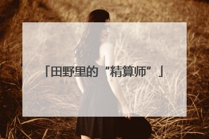 田野里的“精算师”