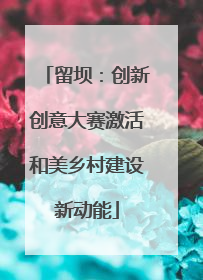 留坝：创新创意大赛激活和美乡村建设新动能