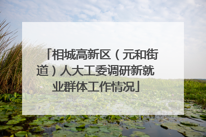 相城高新区（元和街道）人大工委调研新就业群体工作情况
