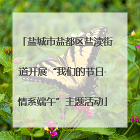 盐城市盐都区盐渎街道开展“我们的节日·情系端午”主题活动