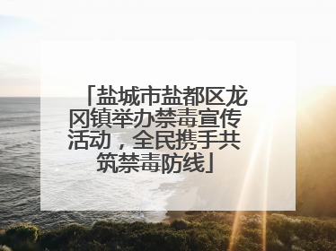 盐城市盐都区龙冈镇举办禁毒宣传活动，全民携手共筑禁毒防线