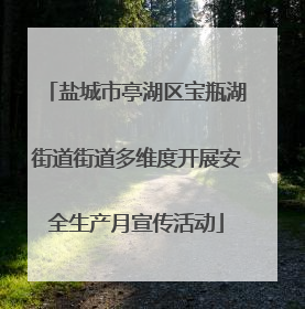 盐城市亭湖区宝瓶湖街道街道多维度开展安全生产月宣传活动