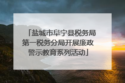 盐城市阜宁县税务局第一税务分局开展廉政警示教育系列活动
