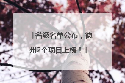 省级名单公布，德州2个项目上榜！