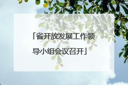 省开放发展工作领导小组会议召开