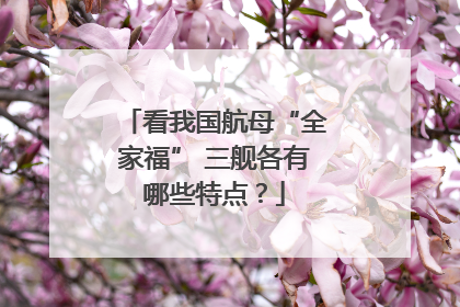 看我国航母“全家福” 三舰各有哪些特点？