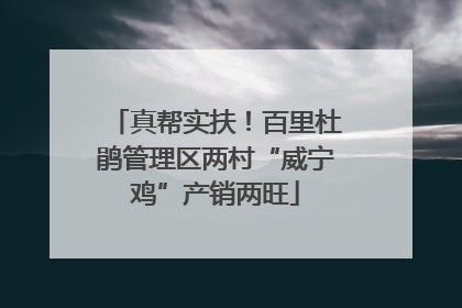 真帮实扶！百里杜鹃管理区两村“威宁鸡”产销两旺