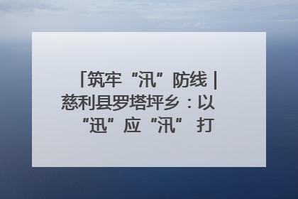 筑牢“汛”防线｜慈利县罗塔坪乡：以“迅”应“汛” 打赢暴雨防御战