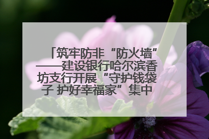筑牢防非“防火墙”——建设银行哈尔滨香坊支行开展“守护钱袋子 护好幸福家”集中宣传日活动