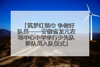 筑梦红领巾 争做好队员——安徽省龙亢农场中心小学举行少先队新队员入队仪式