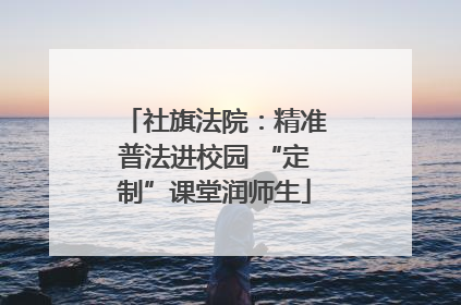 社旗法院：精准普法进校园 “定制”课堂润师生