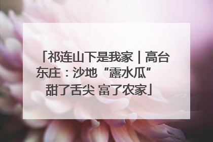 祁连山下是我家｜高台东庄：沙地“露水瓜” 甜了舌尖 富了农家