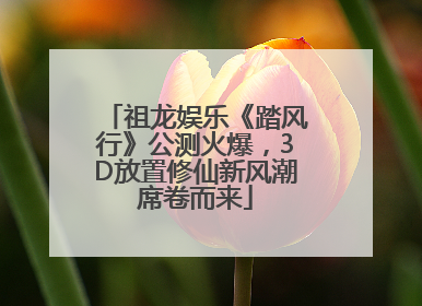 祖龙娱乐《踏风行》公测火爆，3D放置修仙新风潮席卷而来