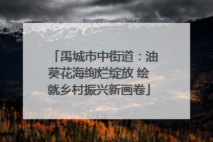 禹城市中街道：油葵花海绚烂绽放 绘就乡村振兴新画卷