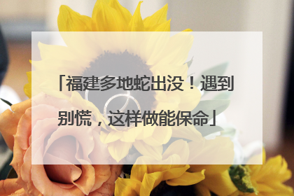 福建多地蛇出没！遇到别慌，这样做能保命
