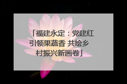 福建永定：党建红引领果蔬香 共绘乡村振兴新画卷